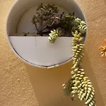 Appartement Eco House Golfinhos