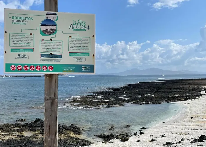 Eco House Golfinhos コラレホ